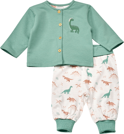 Set mit Jacke & Wendehose mit Dino-Muster, grün, Gr. 68, 1 St