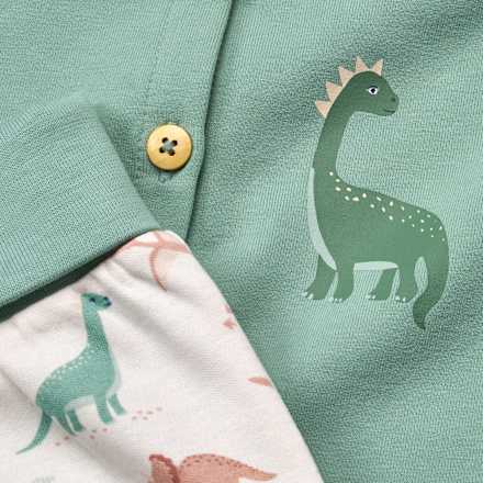 Set mit Jacke & Wendehose mit Dino-Muster, grün, Gr. 68, 1 St