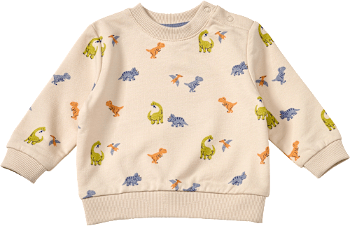 Sweatshirt mit Dino-Muster, beige, Gr. 62, 1 St