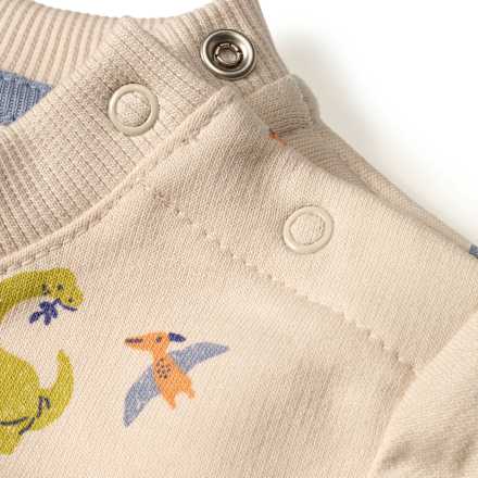 Sweatshirt mit Dino-Muster, beige, Gr. 62, 1 St