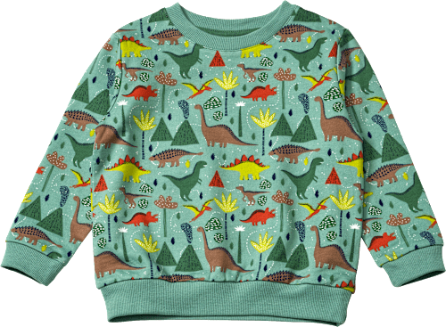 Sweatshirt mit Dino-Muster, grün, Gr. 104, 1 St ALANA