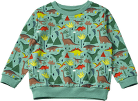 Sweatshirt mit Dino-Muster, grün, Gr. 104, 1 St ALANA