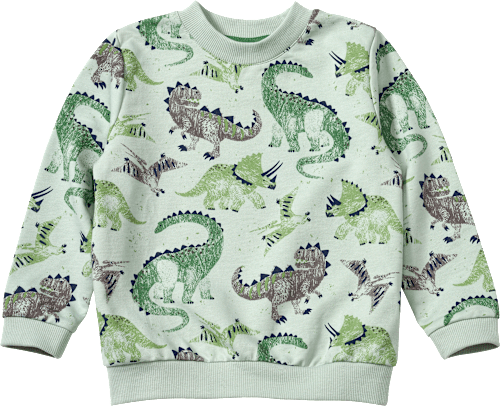 Sweatshirt mit Dino-Muster, grün, Gr. 104, 1 St