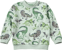 Sweatshirt mit Dino-Muster, grün, Gr. 104, 1 St