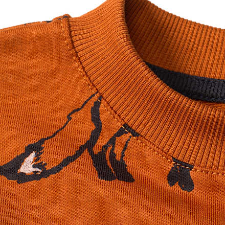 Sweatshirt mit Fuchs-Muster, braun, Gr. 110, 1 St