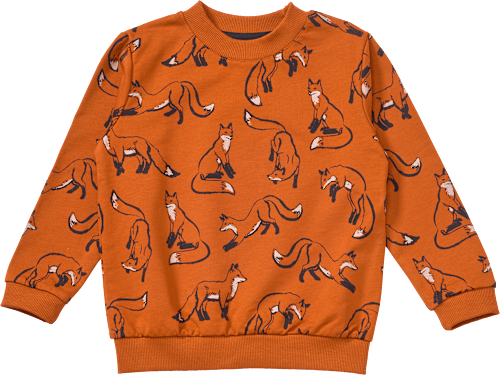 ALANA Sweatshirt mit Fuchs-Muster, braun, Gr. 110, 1 St