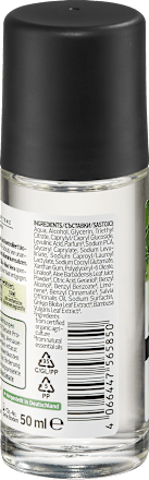 Deodorant roll-on Active Nature, 50 ml