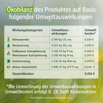 Festes Duschgel Sports Nature 3in1, 60 g
