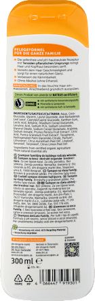 Shampoo Family, 300 ml