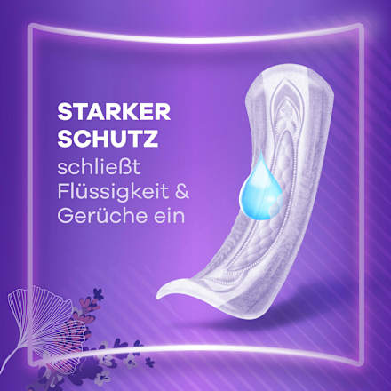 discreet Einlagen Inkontinenz Maxi, Big Pack, 20 St