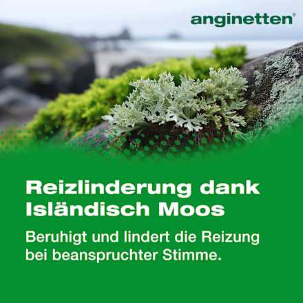 Halstabletten Stimme, 24 St