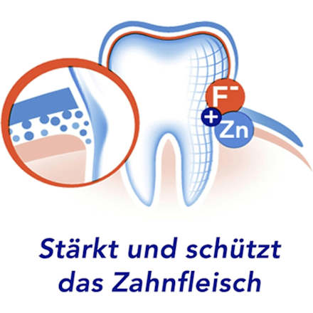 Zahnpasta Zahnfleischschutz, 75 ml