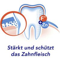Zahnpasta Zahnfleischschutz, 75 ml