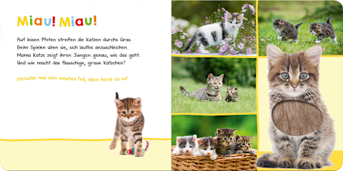 Babybuch Hör mal rein, wer kann das sein? - Lieblingstiere, 1 St