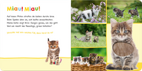 Babybuch Hör mal rein, wer kann das sein? - Lieblingstiere, 1 St
