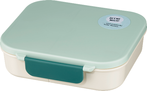 Lunchbox met vakken beige/groen, 1 stuk