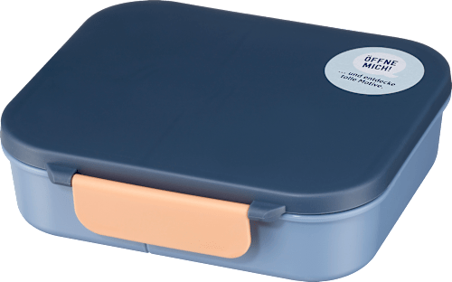 Lunchbox met vakjes blauw, 1 stuk