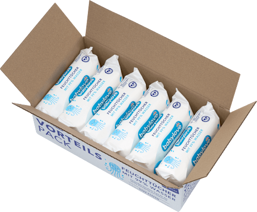 Feuchttücher mit 99% Wasser (6x80 St), 480 St