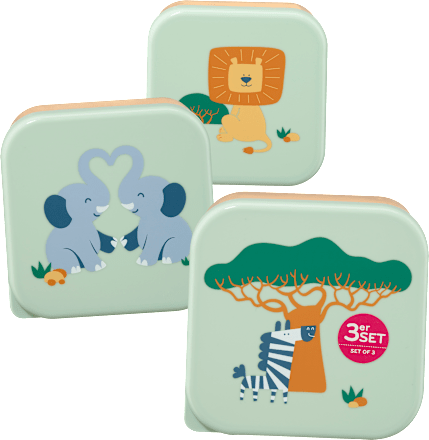 Snackboxen Set grün/orange 3tlg, 1 St