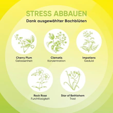 Bachblüten Mentale Balance Tropfen, 10 ml