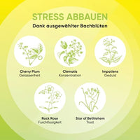 Bachblüten Mentale Balance Tropfen, 10 ml