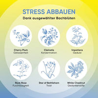 Bach Bloesem Nachtrust Druppels, 10 ml