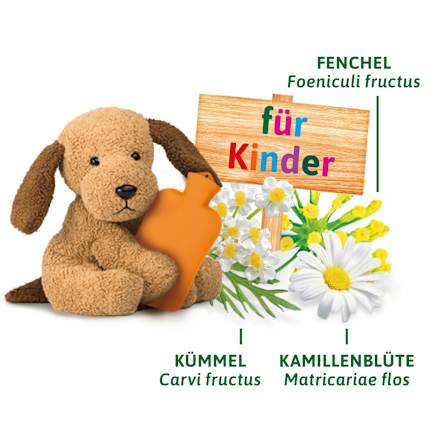 Arzneitee, Bio Magen-Darm Tee für Kinder (12 Beutel), 21,6 g