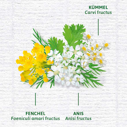 Arzneitee, Bio Magen- & Darm Tee (12 Beutel), 30 g