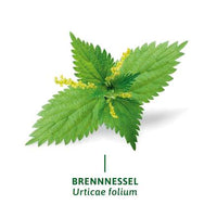 Arzneitee, Brennesselblätter Tee (8 Beutel), 16 g
