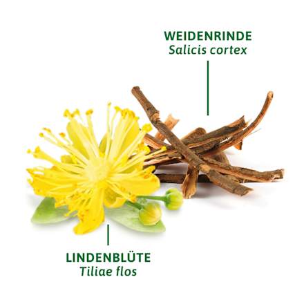 Medicinale thee, koude thee (8 zakjes), 16 g