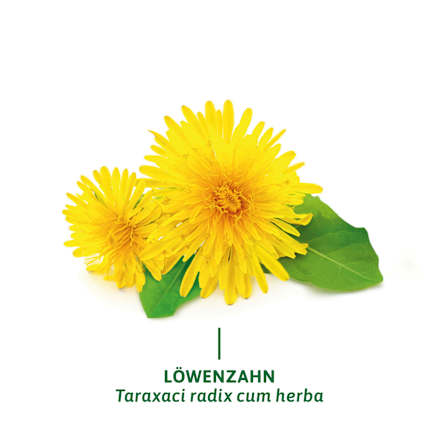 Arzneitee, Fettverdauungs Tee (12 Beutel), 21,6 g