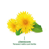 Arzneitee, Fettverdauungs Tee (12 Beutel), 21,6 g
