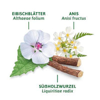 Arzneitee, Hals- & Rachen Tee (12 Beutel), 21 g