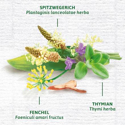 Medicinale thee, hoest- en bronchiale thee (12 zakjes), 24 g