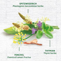 Arzneitee, Husten- & Bronchial Tee (12 Beutel), 24 g