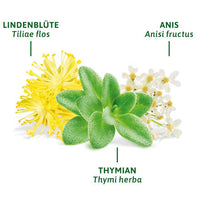 Medicinale thee, hoest- en bronchiale thee (8 zakjes), 16 g