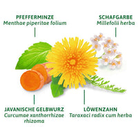Arzneitee, Leber- & Galle Tee (12 Beutel), 21 g