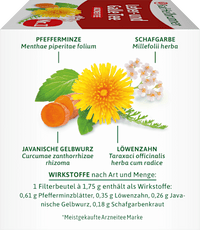 Arzneitee, Leber- & Galle Tee (12 Beutel), 21 g