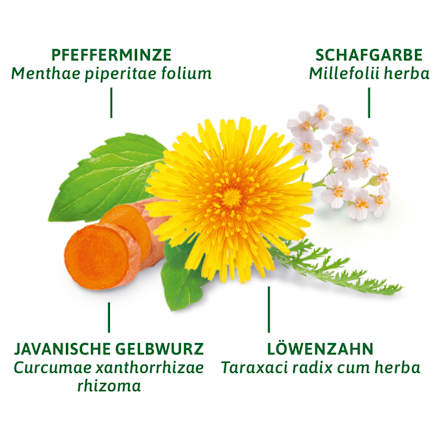 Medicinale thee, lever- en galthee (8 zakjes), 14 g