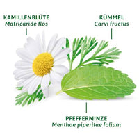 Arzneitee, Magen- & Darm Tee (12 Beutel), 21 g