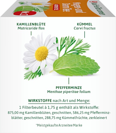 Arzneitee, Magen- & Darm Tee (12 Beutel), 21 g