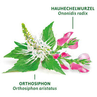 Arzneitee, Nieren- & Blasentee (12 Beutel), 21,6 g