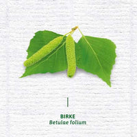 Arzneitee, Nieren- & Blasentee (12 Beutel), 24 g