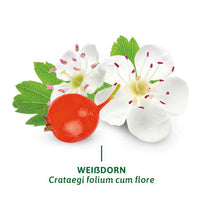 Arzneitee, Weißdorn Tee (12 Beutel), 24 g