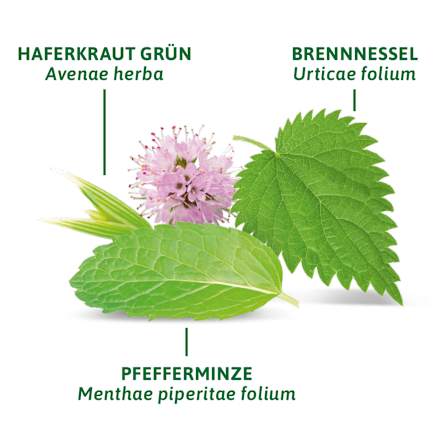 Alkalische kruidenthee met zink (8 zakjes), 14,4 g