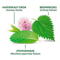 Kräutertee, Basische Kräuter (12 Beutel), 21,6 g