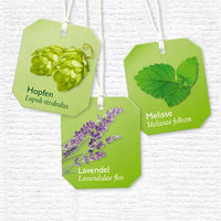 Kräutertee "Einschlaftee mit Melatonin" (12 Beutel), 27,12 g