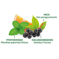Kruidenthee "Figuur-Fit Thee" (8 zakjes), 16 g