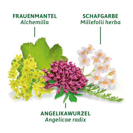 Kruidenthee "Menstruatiethee" (8 zakjes), 16 g