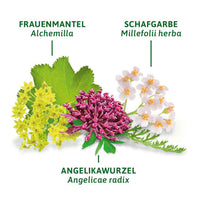 Kruidenthee "Menstruatiethee" (8 zakjes), 16 g